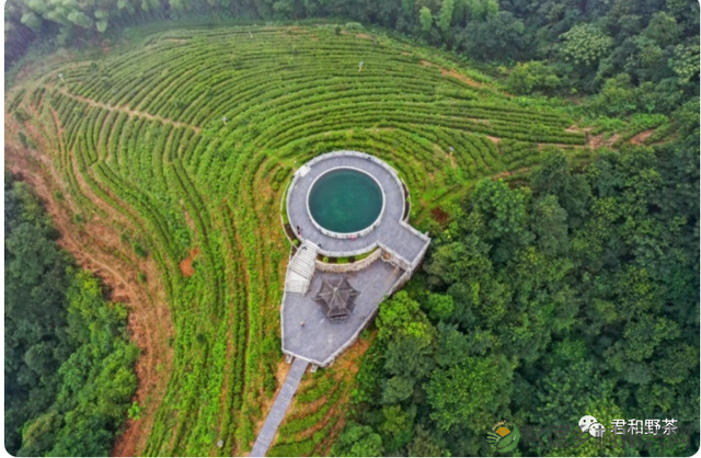 【君和茶品】桃源工夫茶(图1) 【君和茶品】桃源工夫茶(图1)