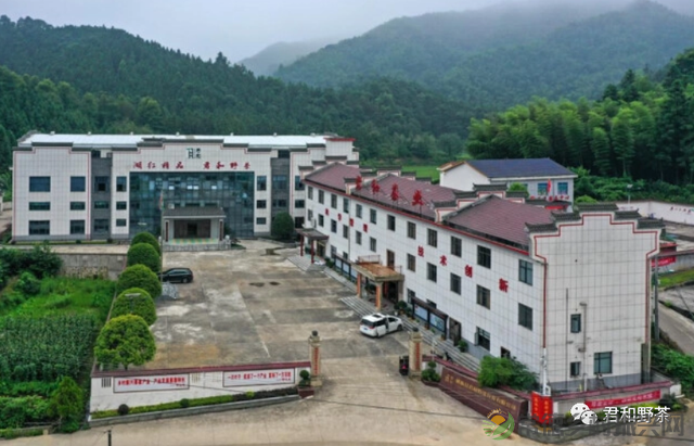 【君和茶品】桃源工夫茶(图5) 【君和茶品】桃源工夫茶(图5)