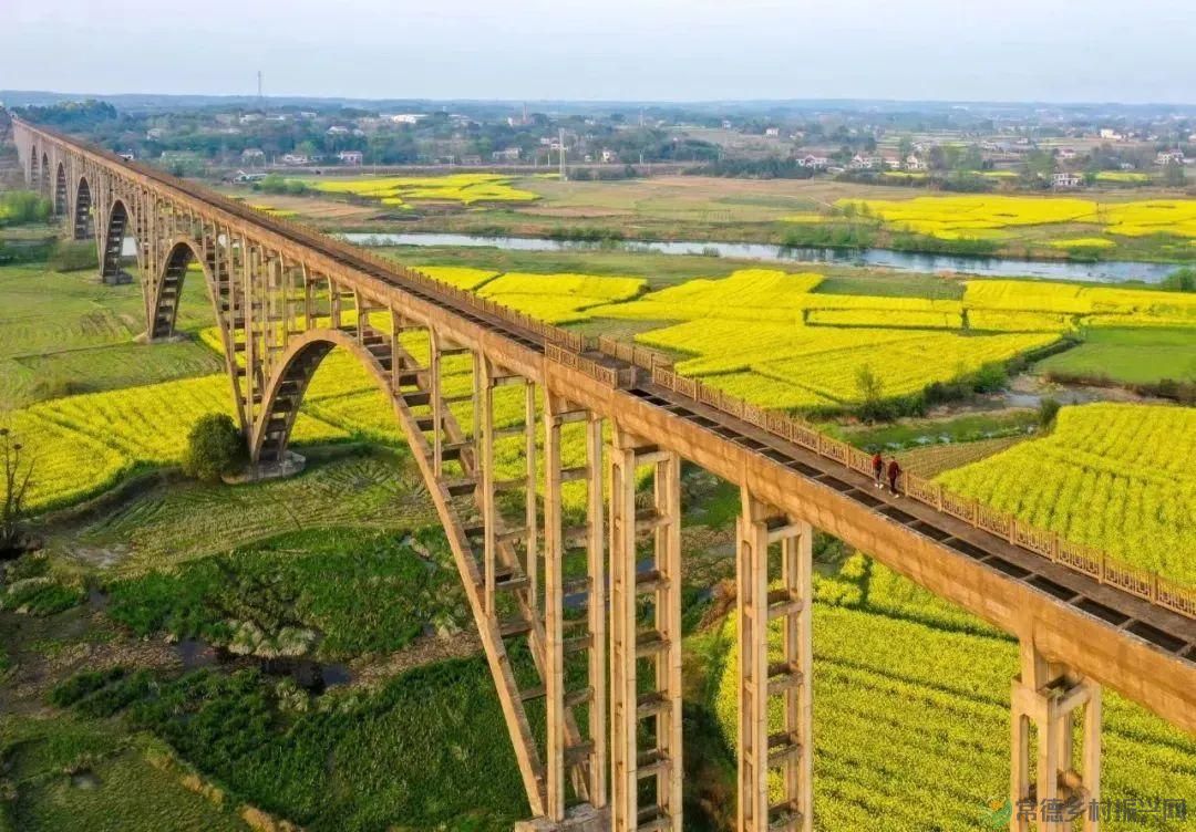 【走进临澧】亚洲第一泵——临澧县青山水轮泵枢纽工程(图3)