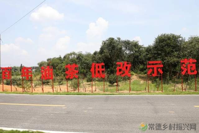 常德新增一所学校——他的名字叫常德鼎城乡村振兴学校、为湖南省第一所区(县)级乡村振兴学校(图31) 常德新增一所学校——他的名字叫常德鼎城乡村振兴学校、为湖南省第一所区(县)级乡村振兴学校(图31)