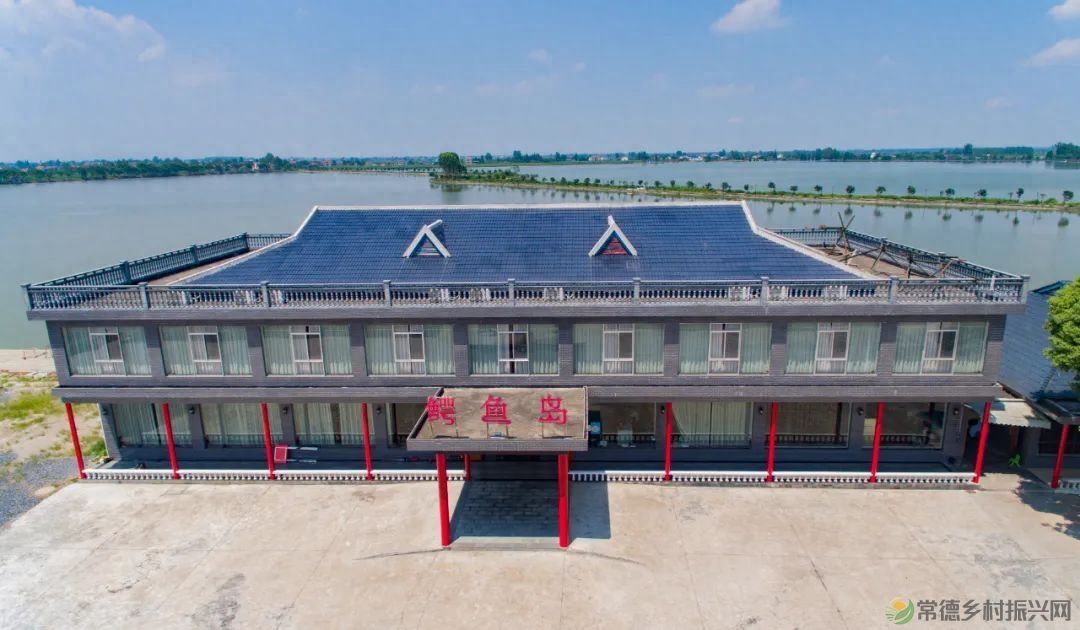 【沅澧新农人】姚飞鸿 鳄鱼岛主的别样人生(图3)