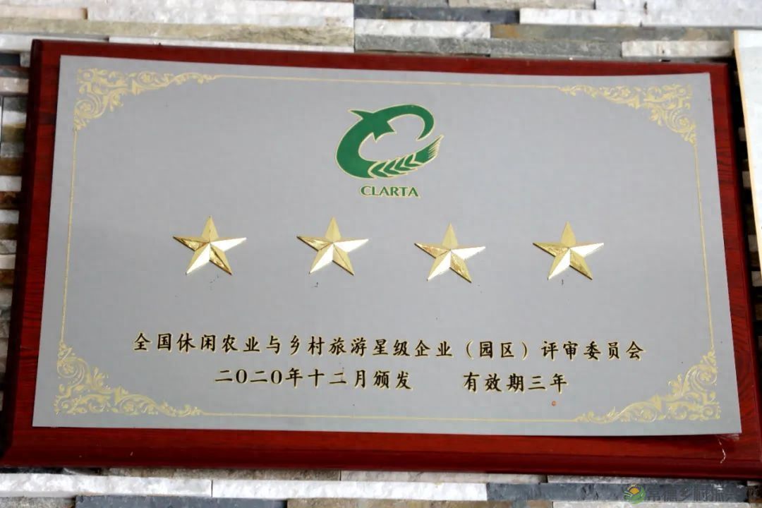 【沅澧新农人】姚飞鸿 鳄鱼岛主的别样人生(图4)