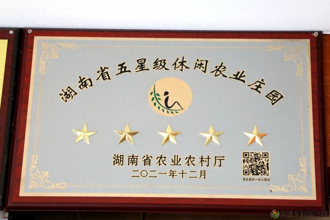 【沅澧新农人】姚飞鸿 鳄鱼岛主的别样人生(图5)