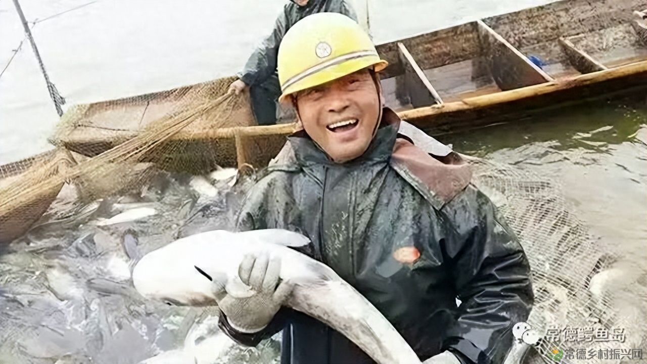 【沅澧新农人】姚飞鸿 鳄鱼岛主的别样人生(图12)