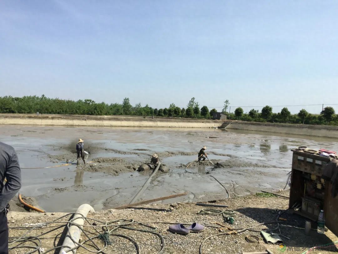 【沅澧新农人】姚飞鸿 鳄鱼岛主的别样人生(图11)