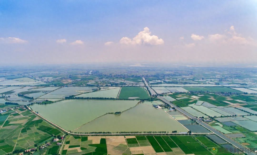 【沅澧新农人】姚飞鸿 鳄鱼岛主的别样人生(图16)