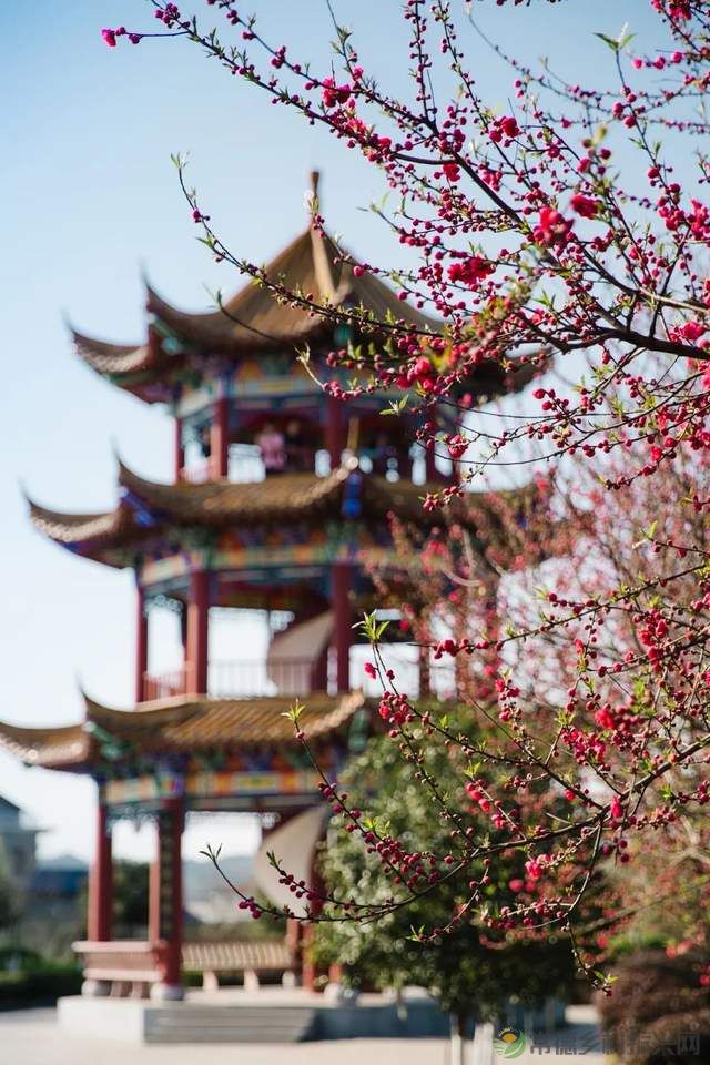 【双节特辑】邂逅“世外桃源”精选名宿,你确定不来?(桃源篇)(图2) 【双节特辑】邂逅“世外桃源”精选名宿,你确定不来?(桃源篇)(图2)