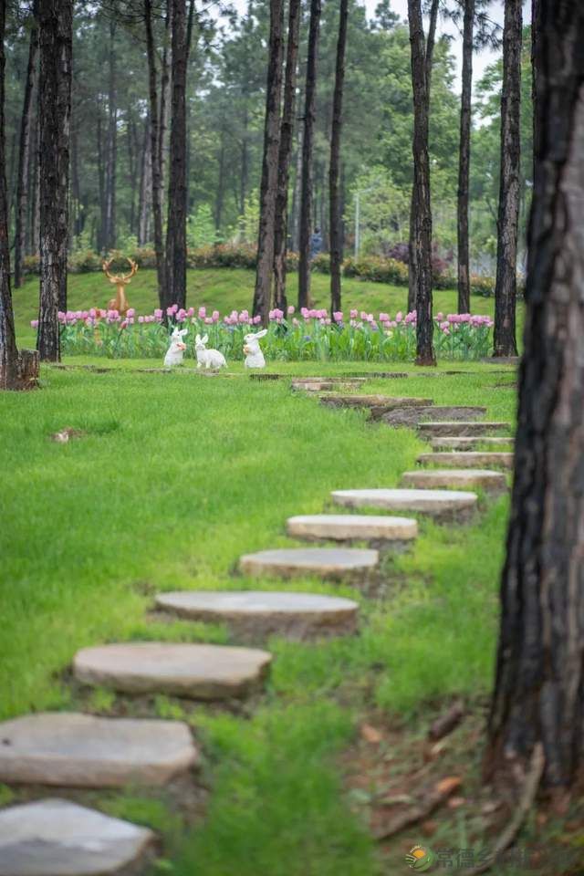 【双节特辑】邂逅“世外桃源”精选名宿,你确定不来?(桃源篇)(图8) 【双节特辑】邂逅“世外桃源”精选名宿,你确定不来?(桃源篇)(图8)