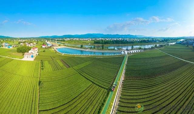 【双节特辑】邂逅“世外桃源”精选名宿,你确定不来?(桃源篇)(图13) 【双节特辑】邂逅“世外桃源”精选名宿,你确定不来?(桃源篇)(图13)