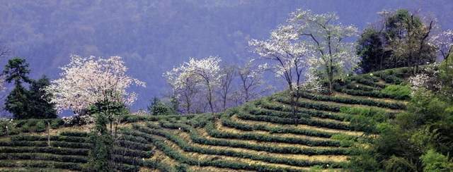 【双节特辑】邂逅“世外桃源”精选名宿,你确定不来?(桃源篇)(图17) 【双节特辑】邂逅“世外桃源”精选名宿,你确定不来?(桃源篇)(图17)