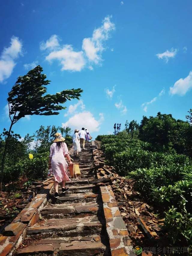 【双节特辑】邂逅“世外桃源”精选名宿,你确定不来?(桃源篇)(图19) 【双节特辑】邂逅“世外桃源”精选名宿,你确定不来?(桃源篇)(图19)