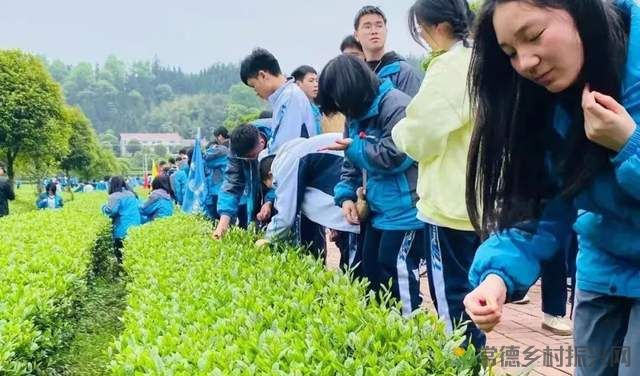 【双节特辑】邂逅“世外桃源”精选名宿,你确定不来?(桃源篇)(图18) 【双节特辑】邂逅“世外桃源”精选名宿,你确定不来?(桃源篇)(图18)