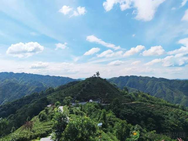 【双节特辑】邂逅“世外桃源”精选名宿,你确定不来?(桃源篇)(图33) 【双节特辑】邂逅“世外桃源”精选名宿,你确定不来?(桃源篇)(图33)