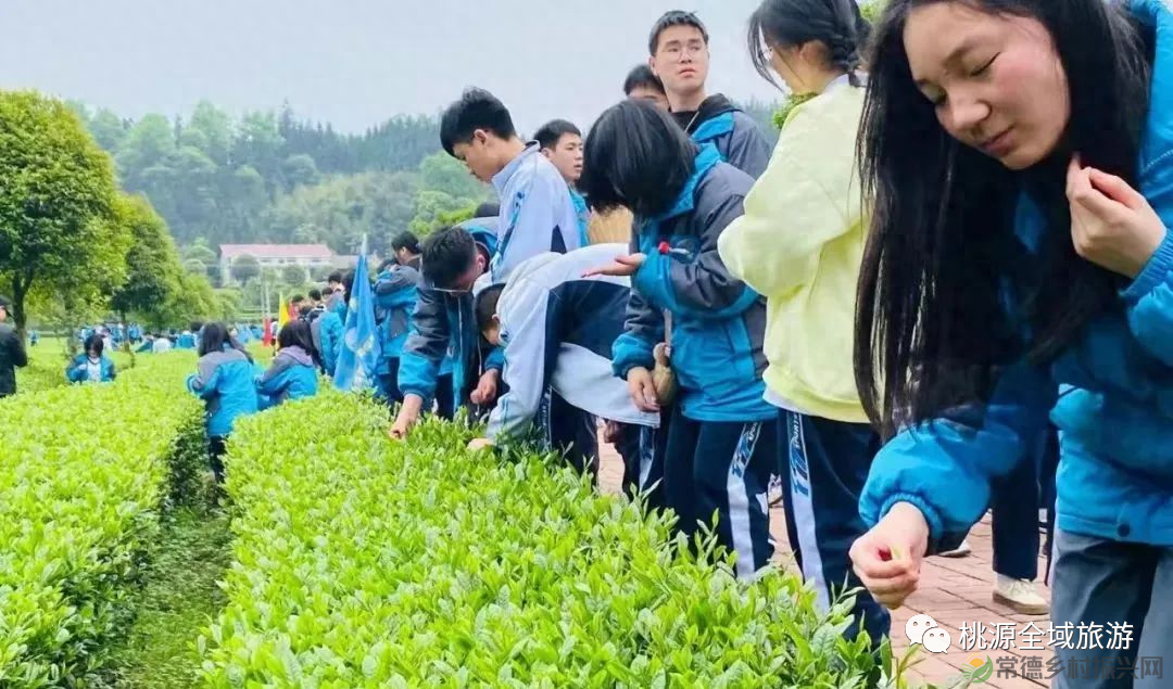 【双节特辑】“七星伴月 悦享常德”桃源南路秋游攻略(桃源篇）(图5)