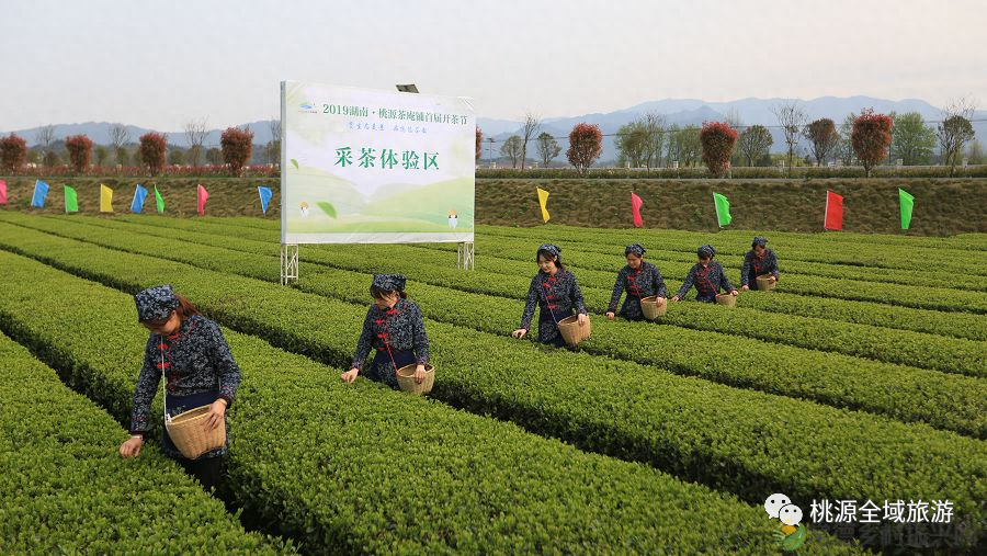 【双节特辑】“七星伴月 悦享常德”桃源南路秋游攻略(桃源篇）(图6)