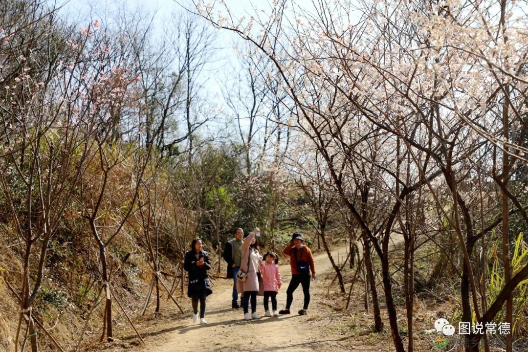 【走进临澧】太浮山：洞庭第一福山，武陵康养福地(图6)