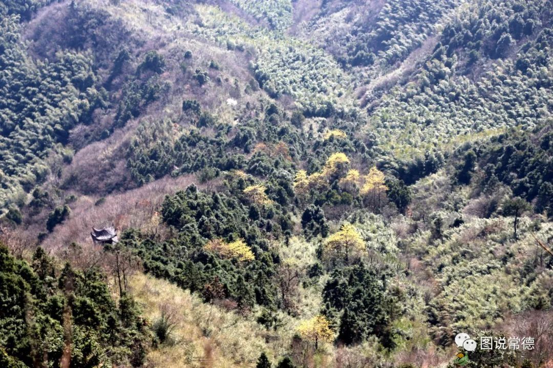 【走进临澧】太浮山：洞庭第一福山，武陵康养福地(图5)