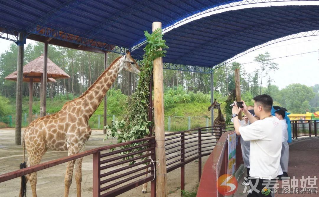 “相约汉寿 揭秘长寿”汉寿县举行全省旅行商大会暨常德野生动物世界旅游直通车开通启动仪式(图6)