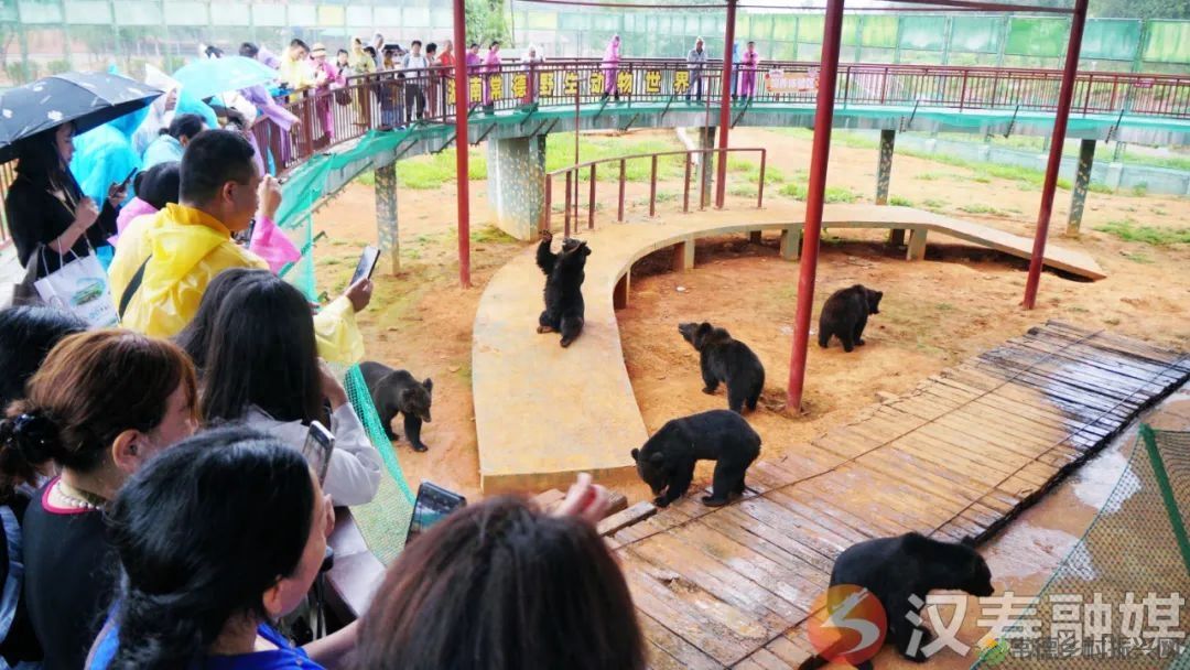 “相约汉寿 揭秘长寿”汉寿县举行全省旅行商大会暨常德野生动物世界旅游直通车开通启动仪式(图7)