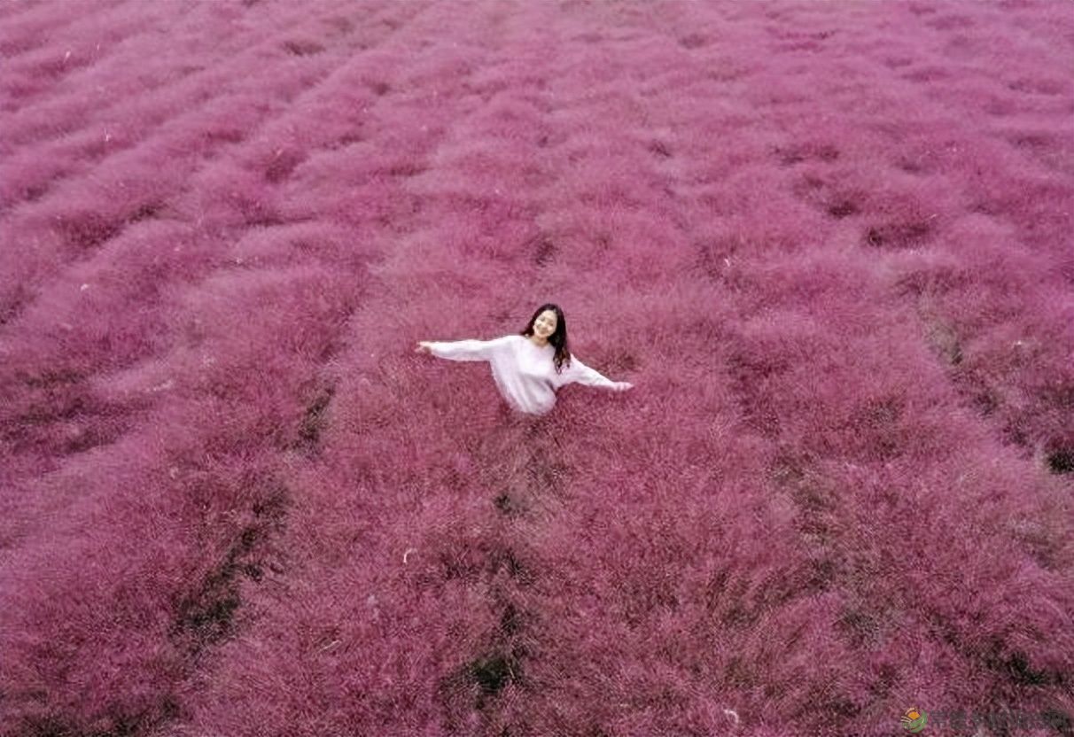 【双节特辑】“七星伴月 悦享常德”中秋+国庆 8天假期全攻略请查收(图5) 【双节特辑】“七星伴月 悦享常德”中秋+国庆 8天假期全攻略请查收(图5)