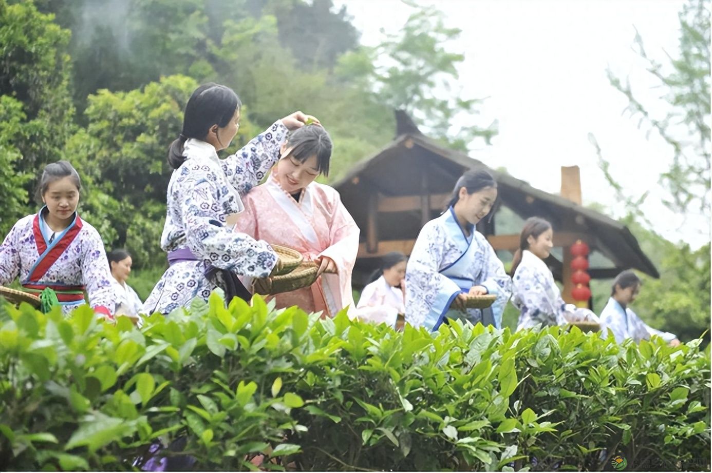 【双节特辑】常德桃花源景区人气爆棚!游客共度欢乐佳节!(图13) 【双节特辑】常德桃花源景区人气爆棚!游客共度欢乐佳节!(图13)