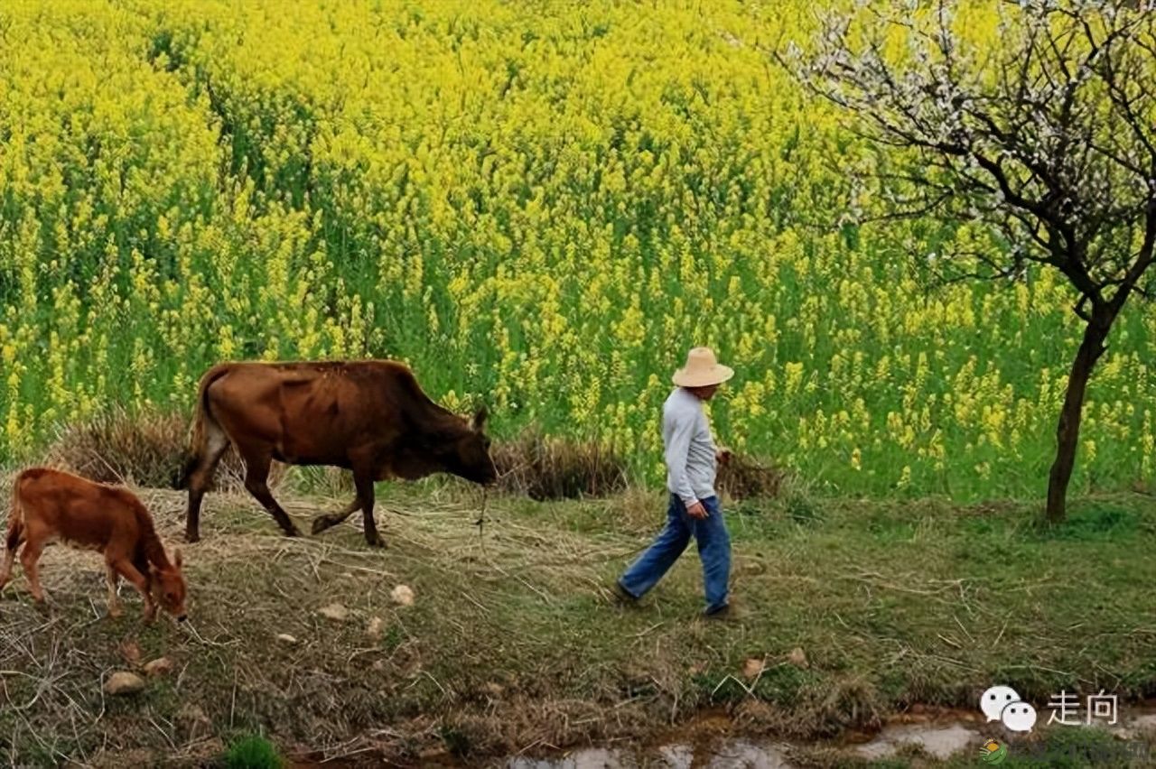 【走进临澧】美女摄影师眼中的太浮山(图2) 【走进临澧】美女摄影师眼中的太浮山(图2)