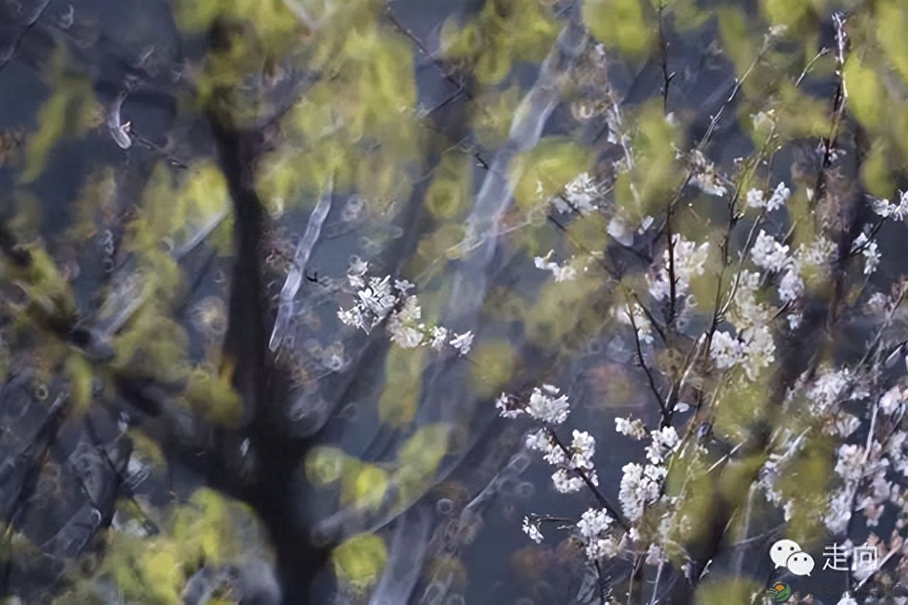 【走进临澧】美女摄影师眼中的太浮山(图6) 【走进临澧】美女摄影师眼中的太浮山(图6)