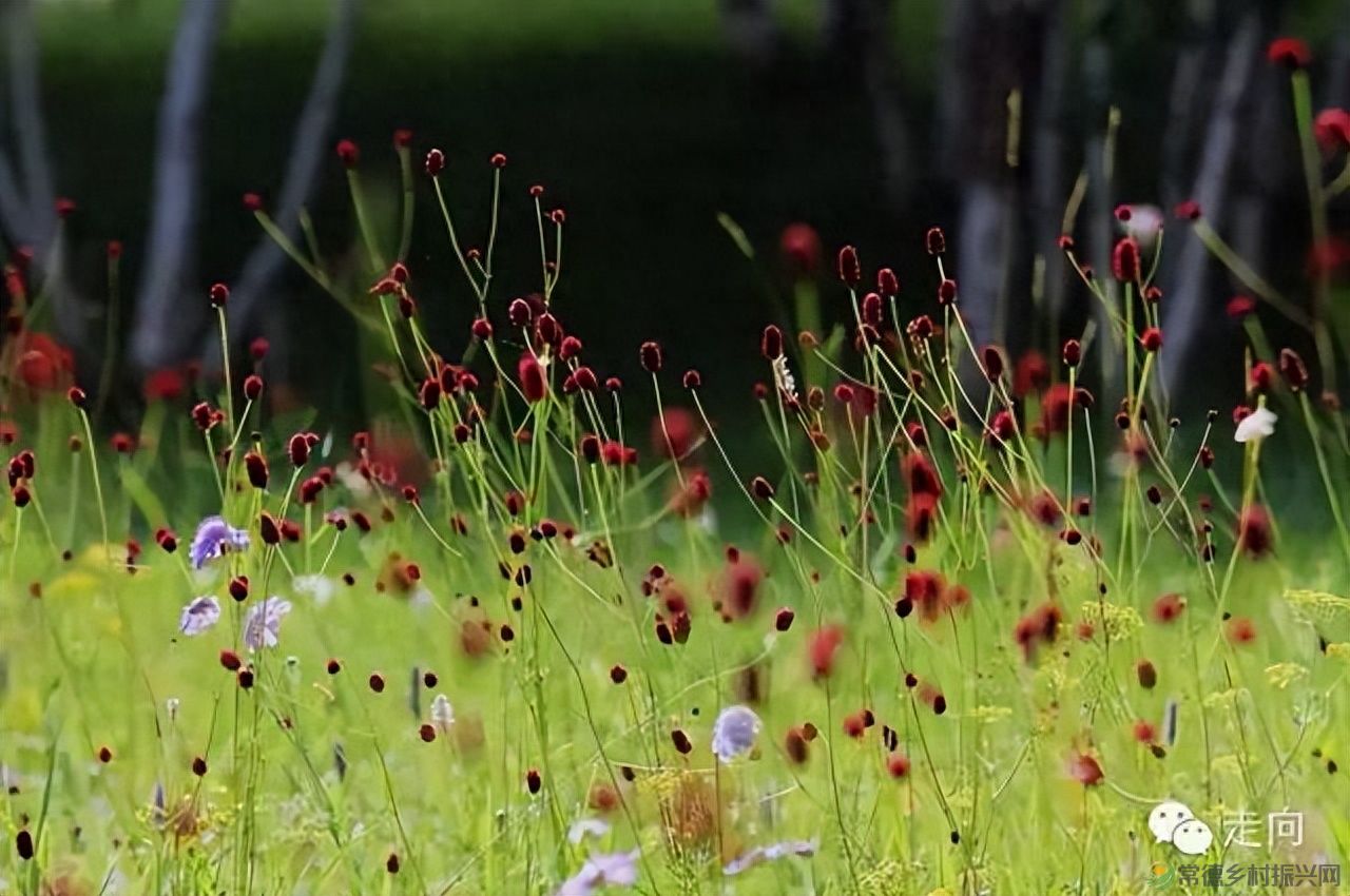 【走进临澧】美女摄影师眼中的太浮山(图5) 【走进临澧】美女摄影师眼中的太浮山(图5)