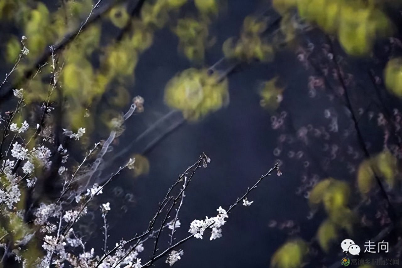 【走进临澧】美女摄影师眼中的太浮山(图7) 【走进临澧】美女摄影师眼中的太浮山(图7)