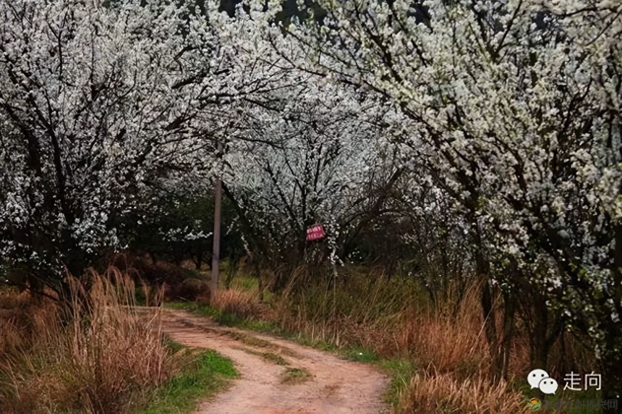 【走进临澧】美女摄影师眼中的太浮山(图8) 【走进临澧】美女摄影师眼中的太浮山(图8)