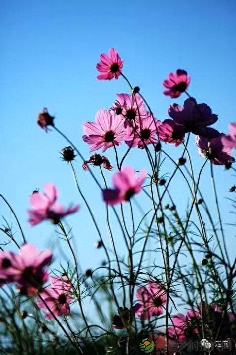 【走进临澧】美女摄影师眼中的太浮山(图11) 【走进临澧】美女摄影师眼中的太浮山(图11)