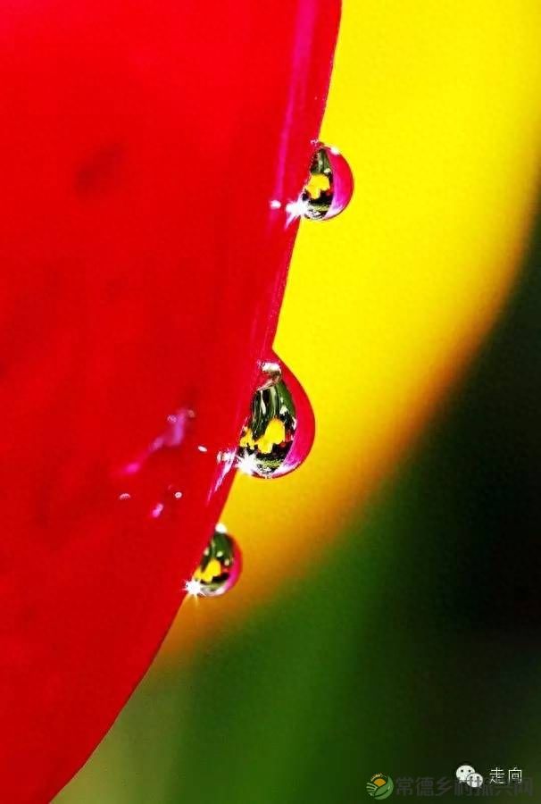 【走进临澧】美女摄影师眼中的太浮山(图17) 【走进临澧】美女摄影师眼中的太浮山(图17)