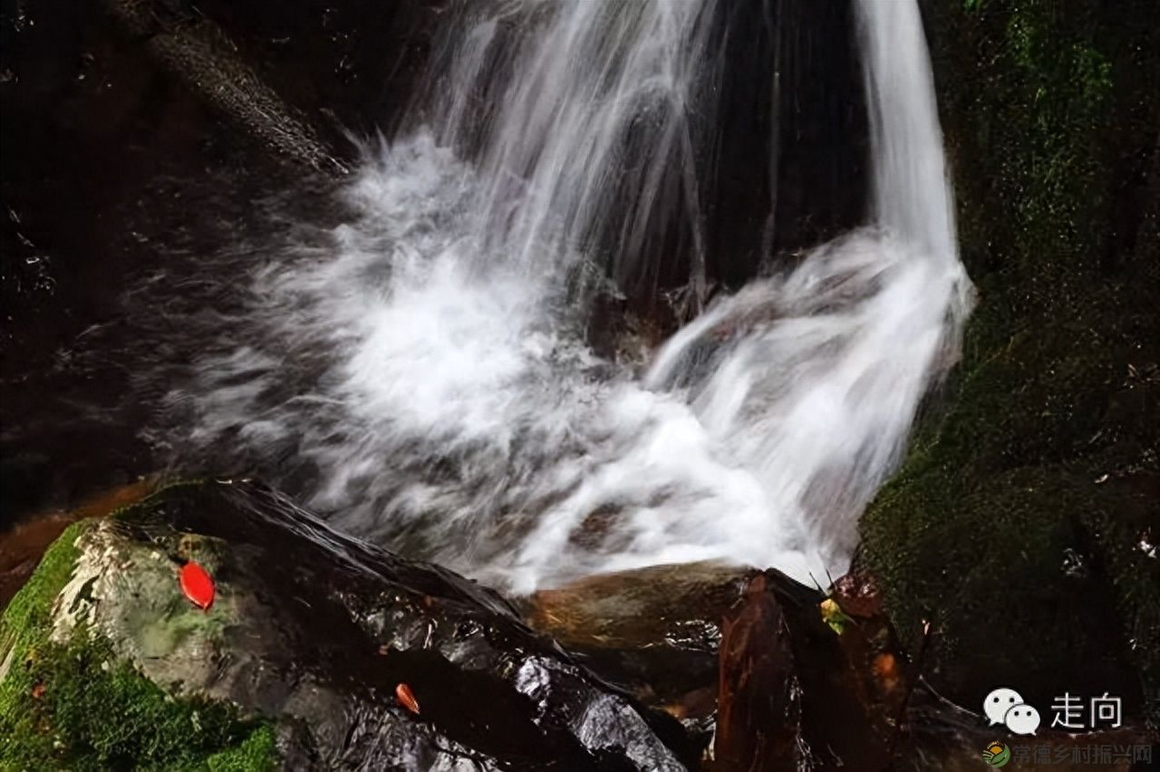 【走进临澧】美女摄影师眼中的太浮山(图13) 【走进临澧】美女摄影师眼中的太浮山(图13)