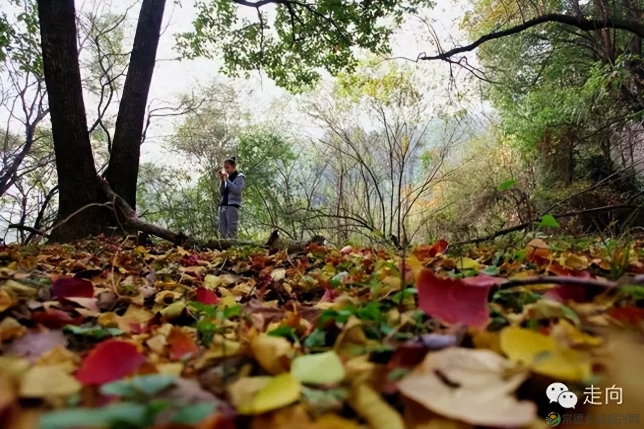 【走进临澧】美女摄影师眼中的太浮山(图18) 【走进临澧】美女摄影师眼中的太浮山(图18)