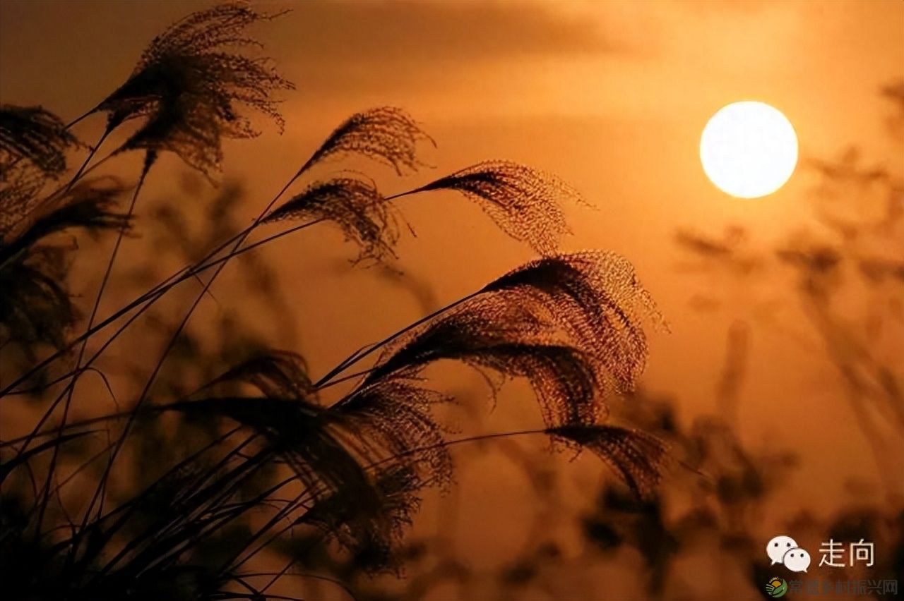 【走进临澧】美女摄影师眼中的太浮山(图22) 【走进临澧】美女摄影师眼中的太浮山(图22)