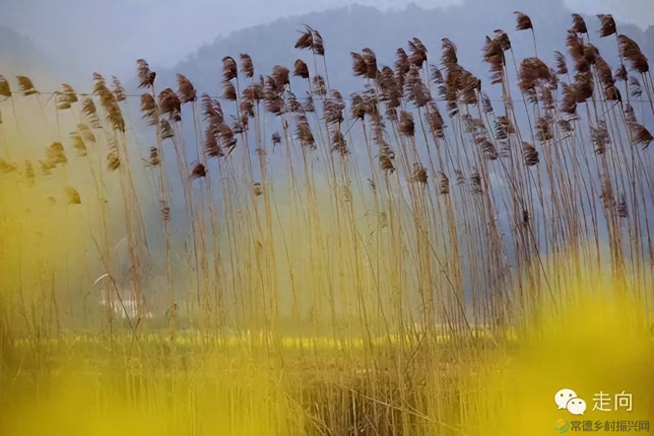 【走进临澧】美女摄影师眼中的太浮山(图20) 【走进临澧】美女摄影师眼中的太浮山(图20)