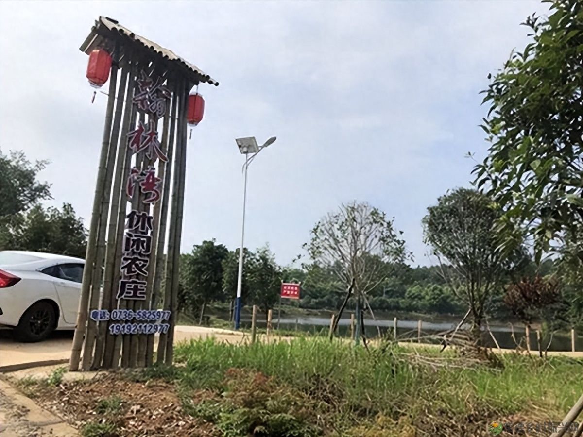 【走进临澧】建议收藏!太浮山周边的美食攻略值友都帮你预备好了(图2) 【走进临澧】建议收藏!太浮山周边的美食攻略值友都帮你预备好了(图2)