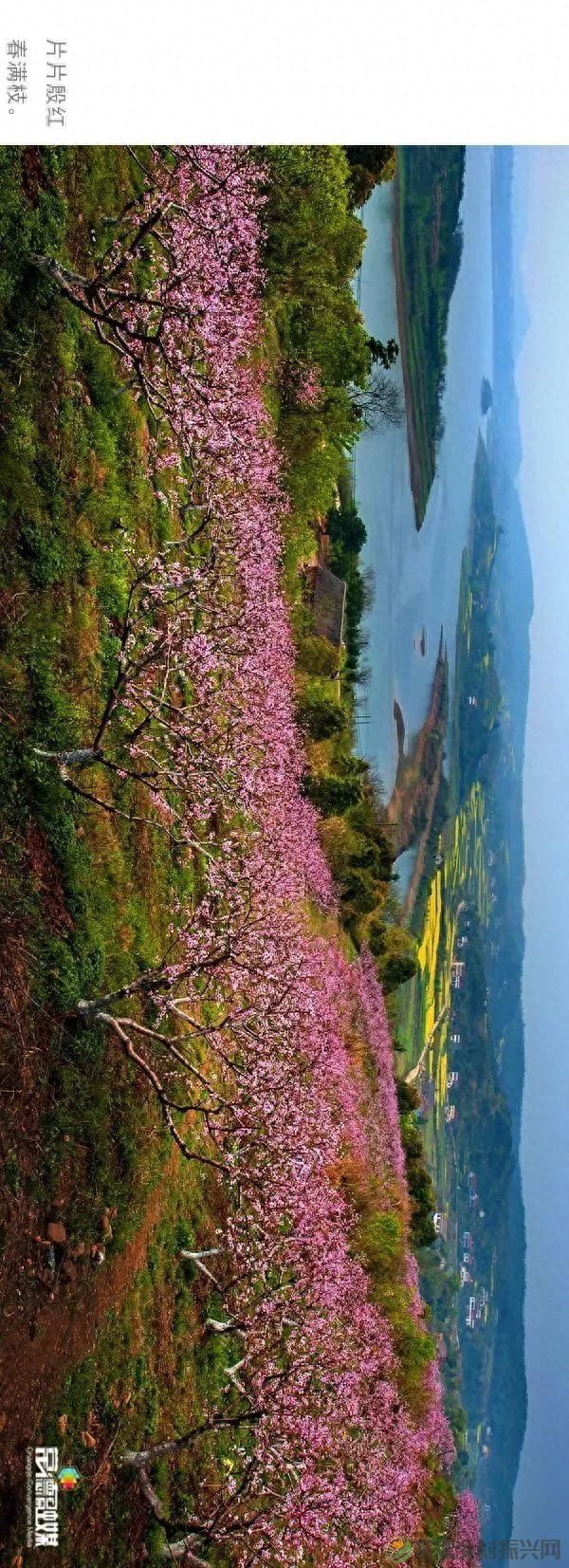 【走进临澧】他用镜头记录了太浮山的春夏秋冬...(图2)