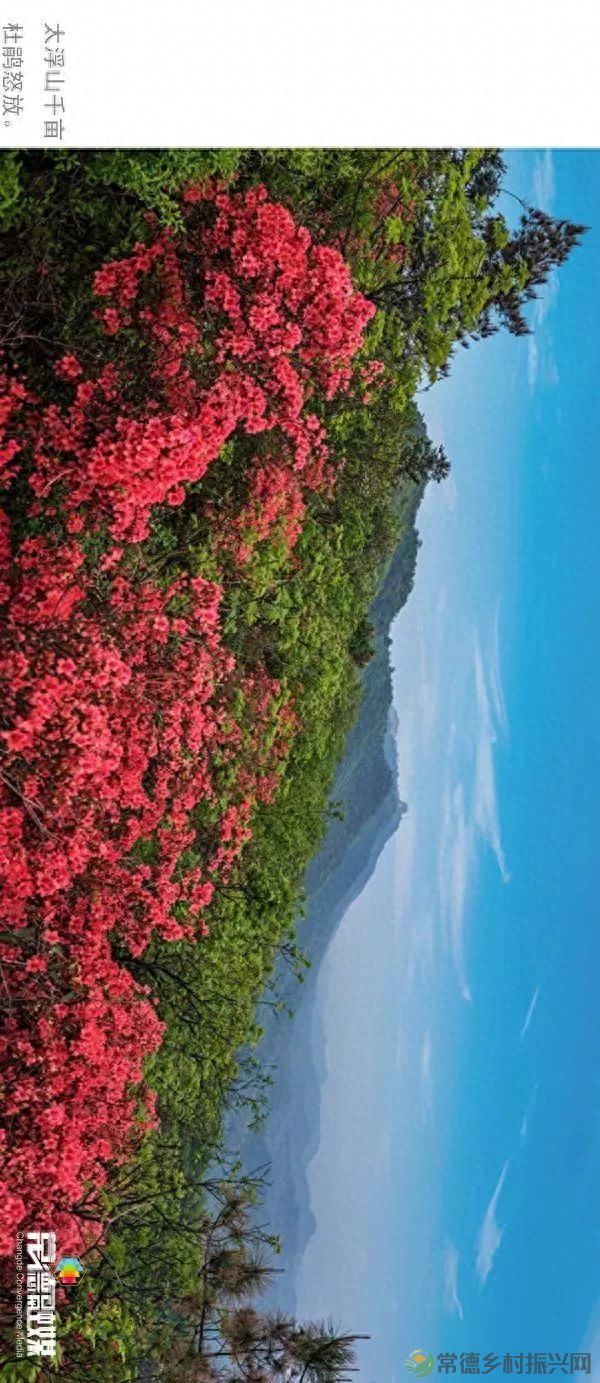 【走进临澧】他用镜头记录了太浮山的春夏秋冬...(图3)