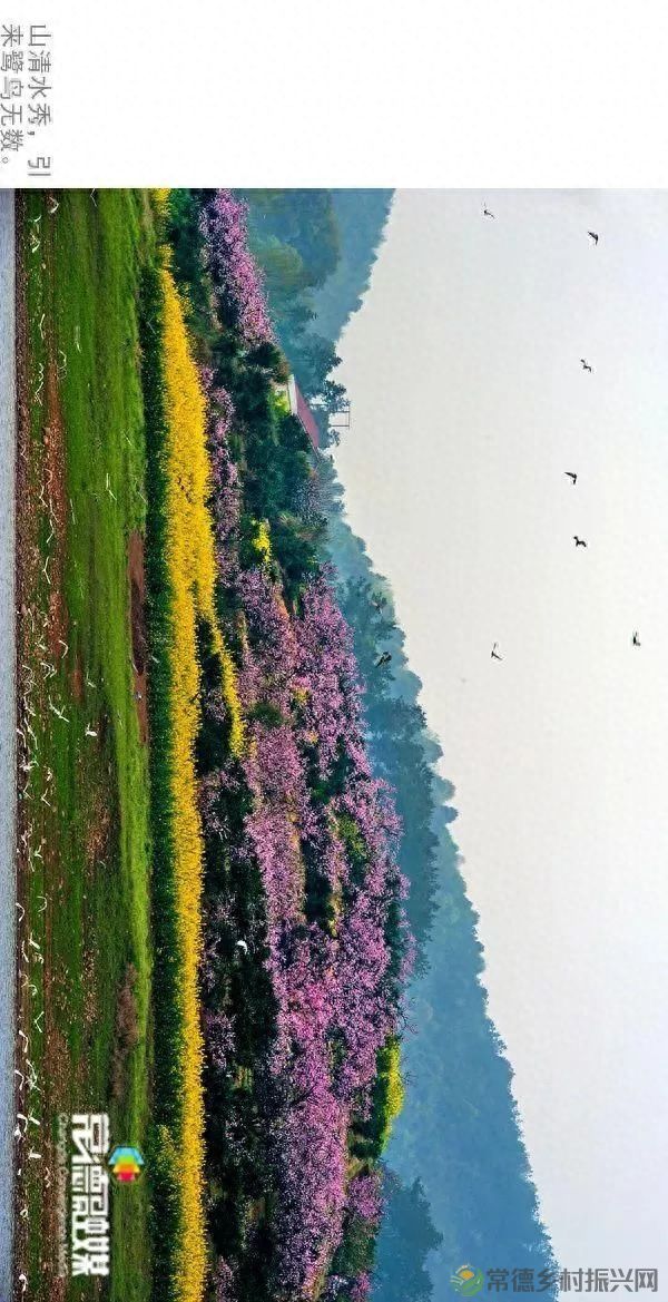 【走进临澧】他用镜头记录了太浮山的春夏秋冬...(图4)