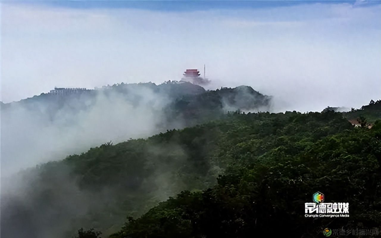 【走进临澧】他用镜头记录了太浮山的春夏秋冬...(图8)