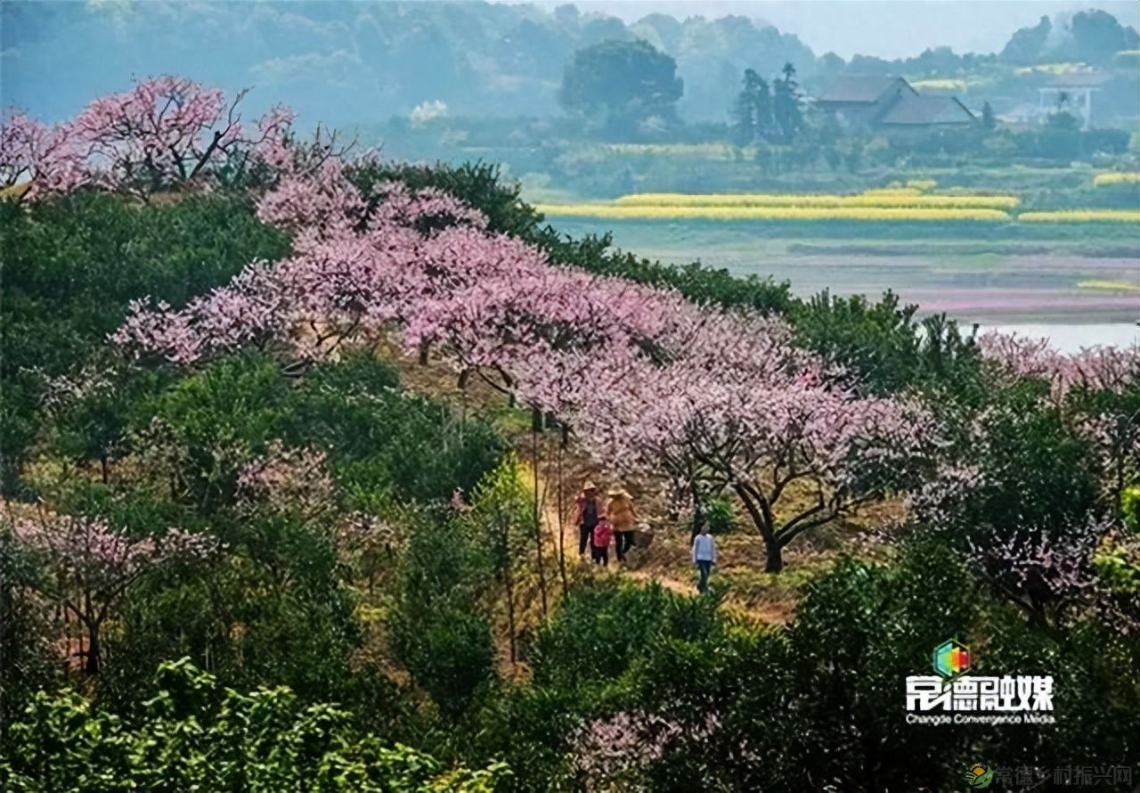 【走进临澧】他用镜头记录了太浮山的春夏秋冬...(图10)