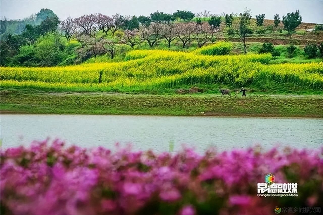 【走进临澧】他用镜头记录了太浮山的春夏秋冬...(图11)