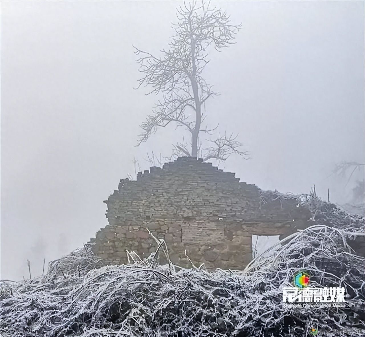 【走进临澧】他用镜头记录了太浮山的春夏秋冬...(图15)