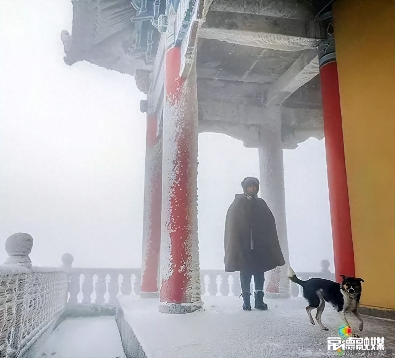 【走进临澧】他用镜头记录了太浮山的春夏秋冬...(图17)
