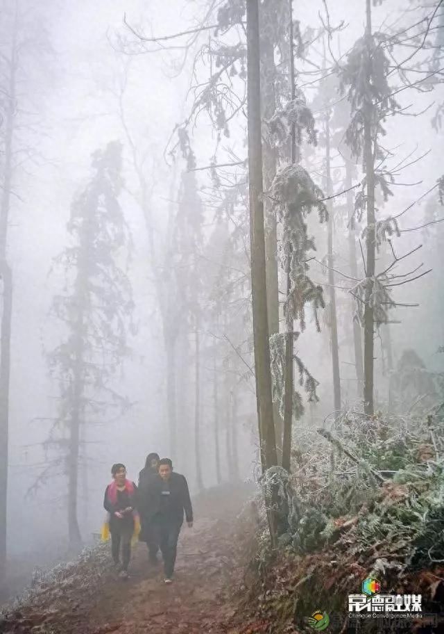 【走进临澧】他用镜头记录了太浮山的春夏秋冬...(图18)