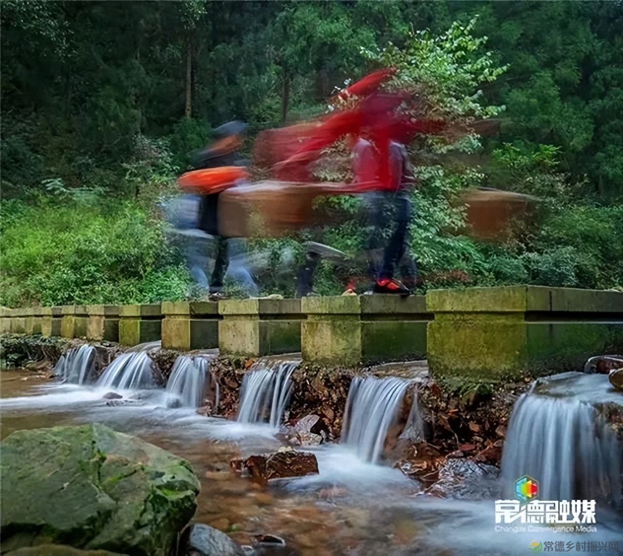 【走进临澧】他用镜头记录了太浮山的春夏秋冬...(图20)
