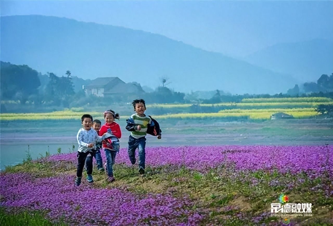 【走进临澧】他用镜头记录了太浮山的春夏秋冬...(图23)