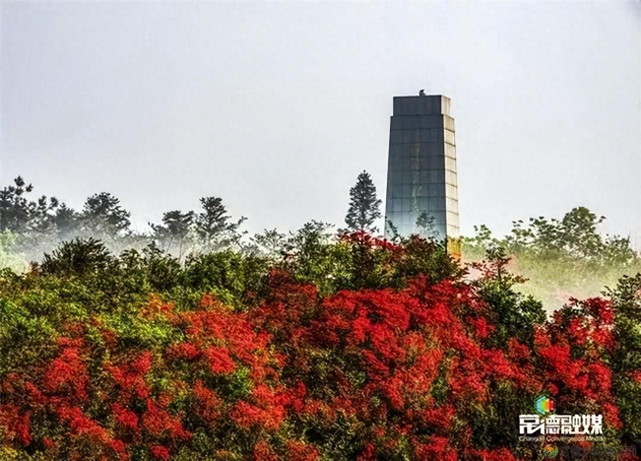 【走进临澧】他用镜头记录了太浮山的春夏秋冬...(图28)