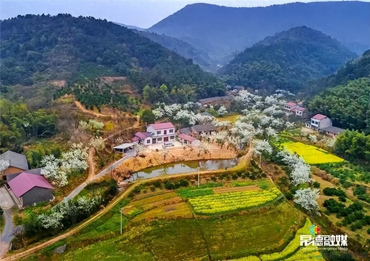 【走进临澧】他用镜头记录了太浮山的春夏秋冬...(图27)